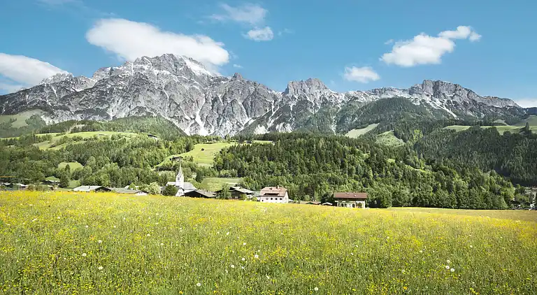 Ferienhaus in Saalfelden am Steinernen Meer