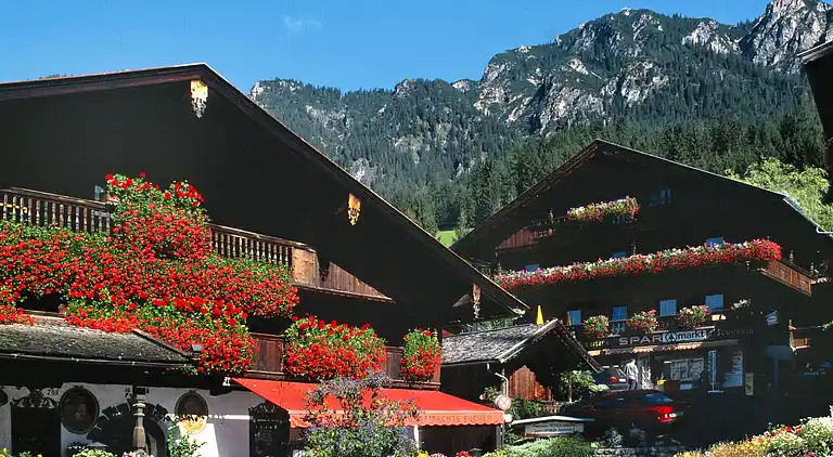 Feriebolig i Alpbach