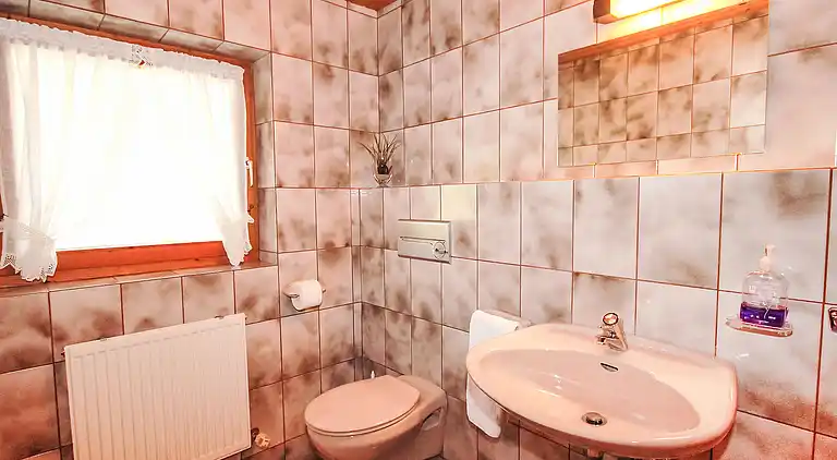 Feriebolig i Hart im Zillertal