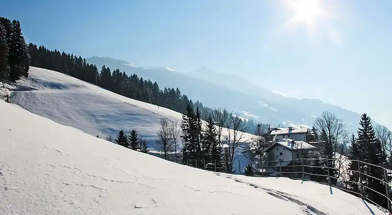 Feriebolig i Hart im Zillertal