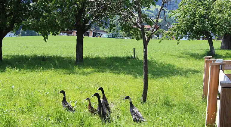 Holiday home in Fügen