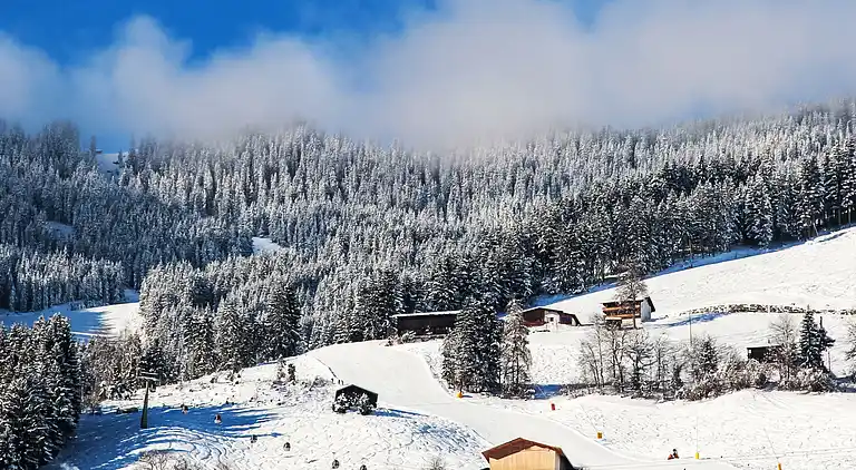 vakantiehuis in Pankrazberg