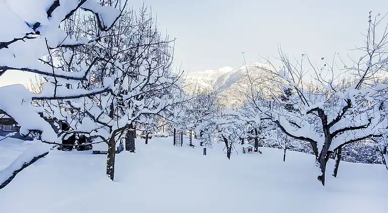 Feriebolig i Pankrazberg