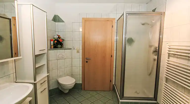 Feriebolig i Hart im Zillertal