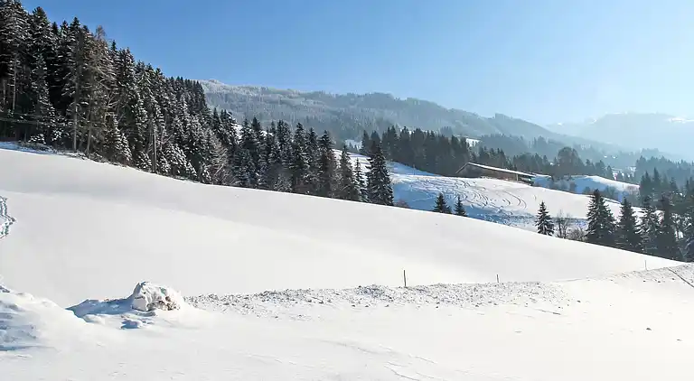Feriebolig i Hart im Zillertal