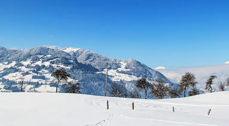 Feriebolig i Hart im Zillertal