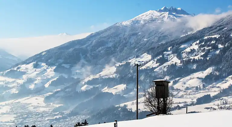 Feriebolig i Hart im Zillertal