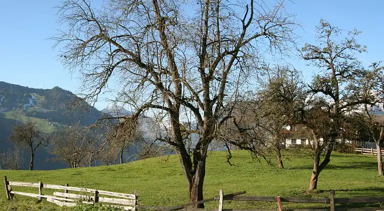 Feriebolig i Hart im Zillertal
