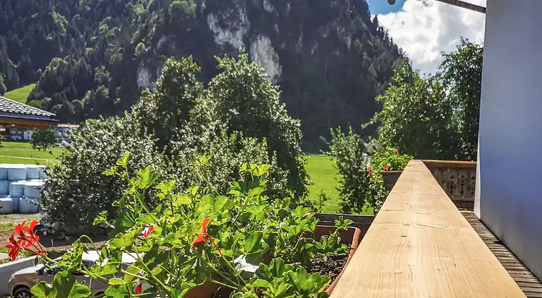 Holiday home in Strass im Zillertal