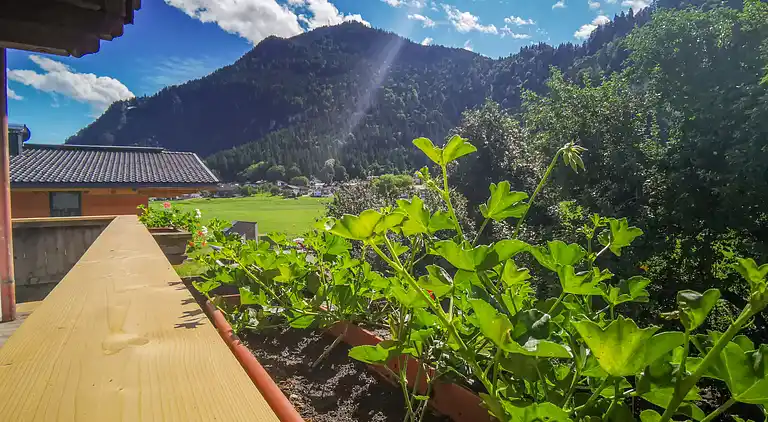 Holiday home in Strass im Zillertal