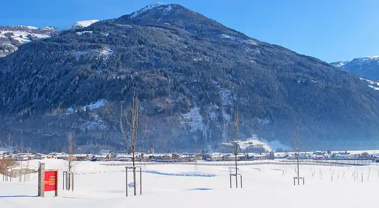 vakantiehuis in Uderns