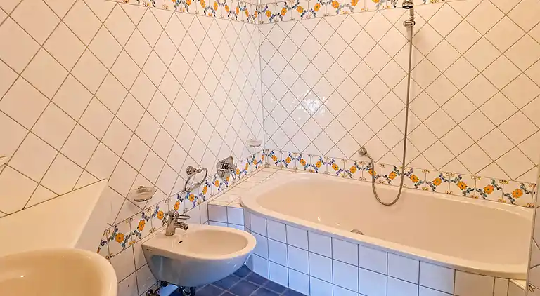 Feriebolig i Hainzenberg