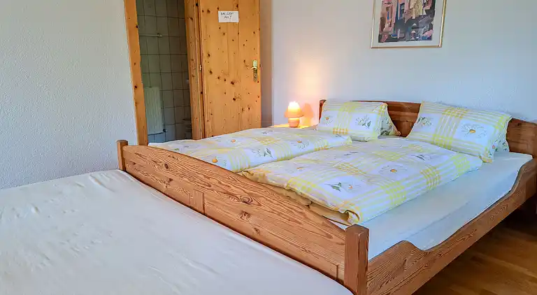 Feriebolig i Hainzenberg