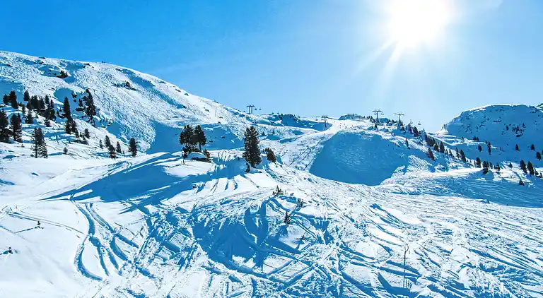 Holiday home in Gerlosberg