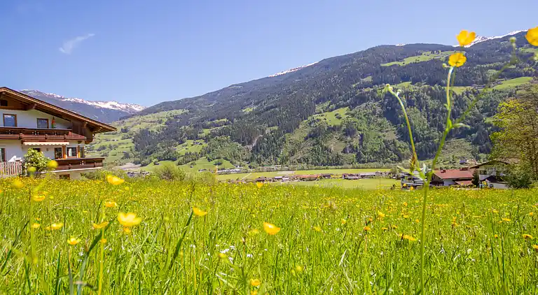 Feriebolig i Aschau im Zillertal