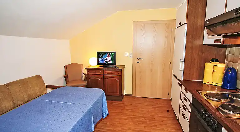 Feriebolig i Mayrhofen