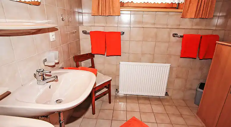 Feriebolig i Mayrhofen