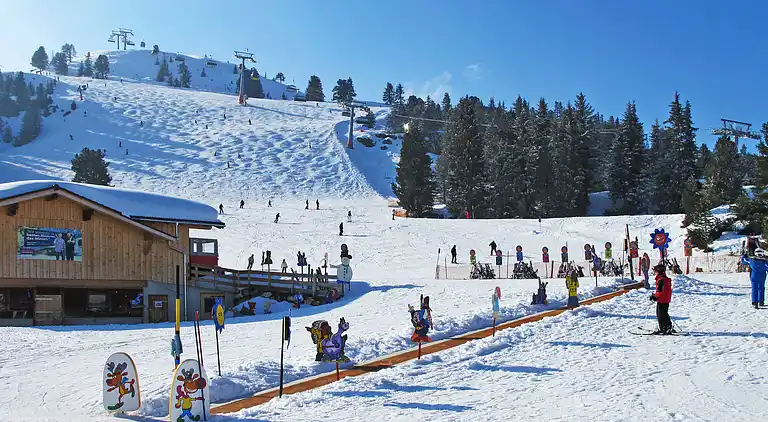 Feriebolig i Mayrhofen