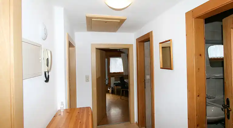 Feriebolig i Mayrhofen