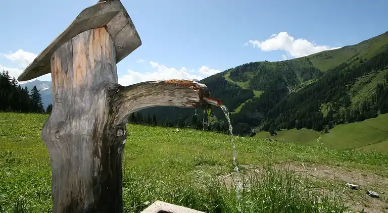 Holiday home in Hippach-Schwendberg