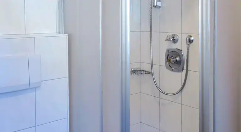 Feriebolig i Ramsau im Zillertal