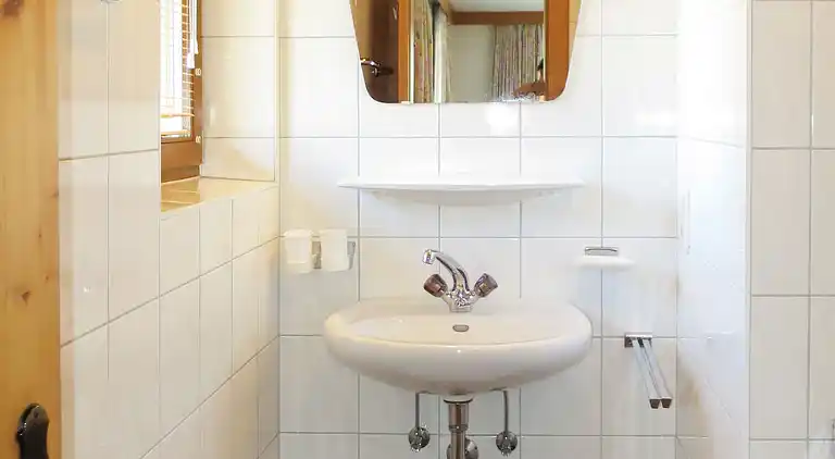 Feriebolig i Ramsau im Zillertal