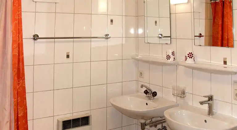 Feriebolig i Ramsau im Zillertal