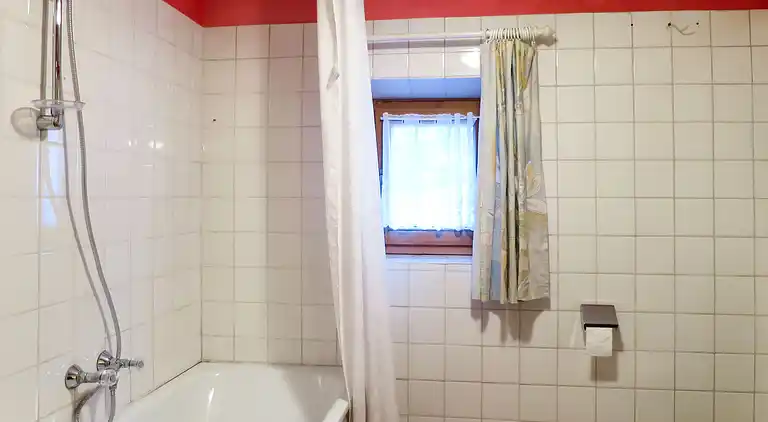 Feriebolig i Ramsau im Zillertal