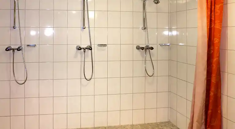 Feriebolig i Ramsau im Zillertal