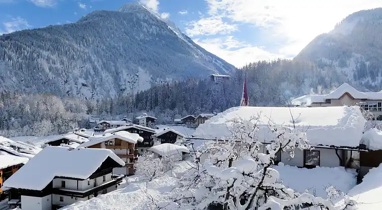 Holiday home in Finkenberg