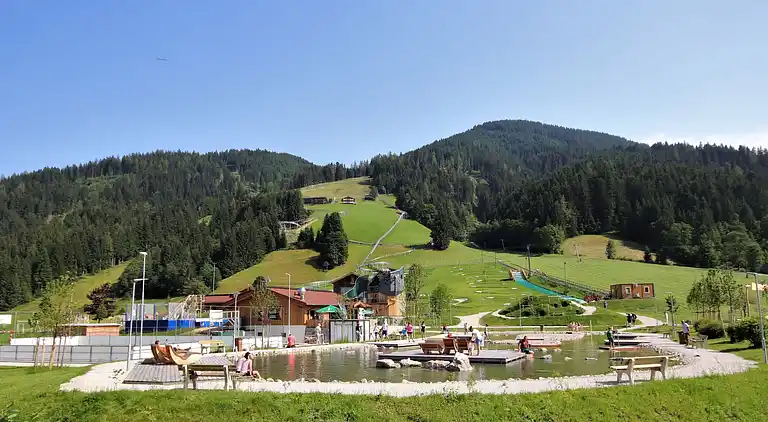 Feriebolig i Wildschönau-Niederau