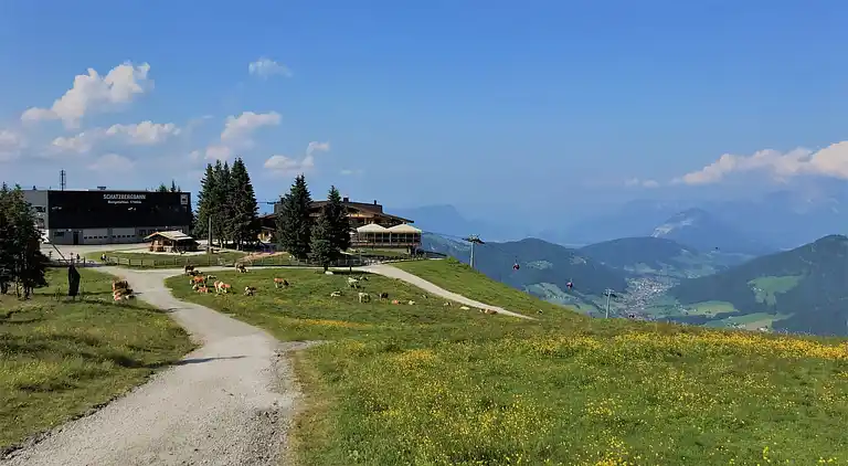 Feriebolig i Wildschönau-Niederau