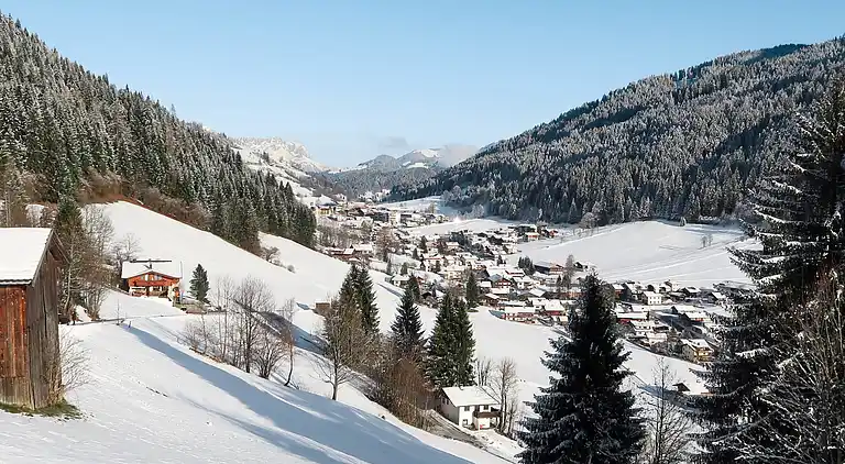 Feriebolig i Wildschönau-Niederau