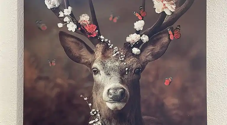 Feriebolig i Wildschönau-Niederau