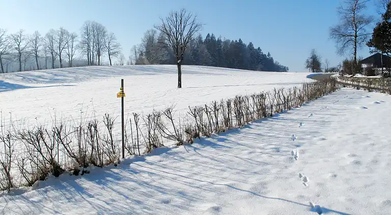 Feriebolig i Angerberg