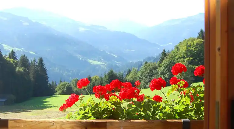 Feriebolig i Penningberg