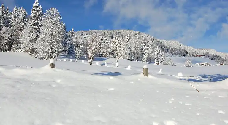 Feriebolig i Penningberg