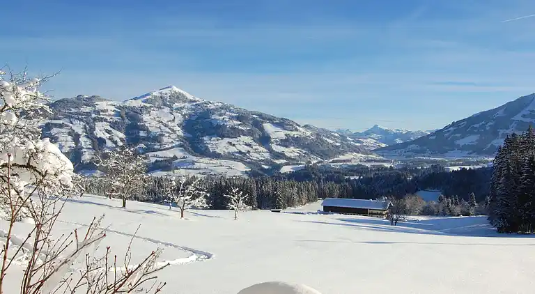 Feriebolig i Penningberg