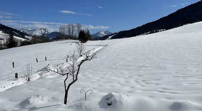 Holiday home in Sankt Johann in Tirol