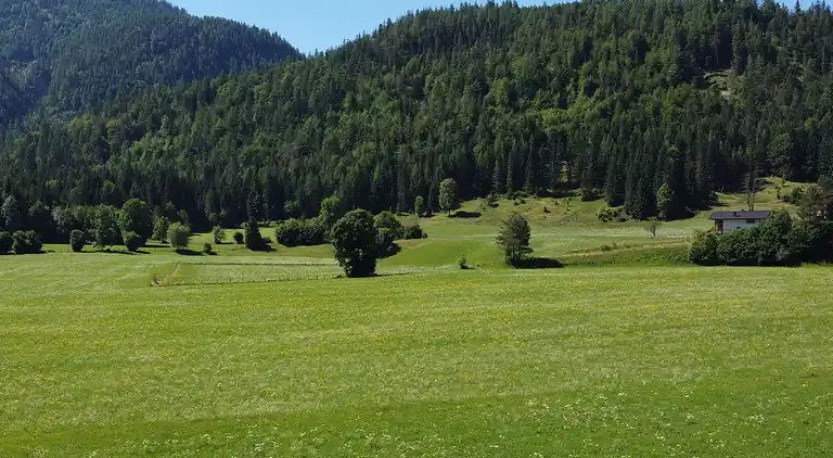 Feriebolig i Waidring