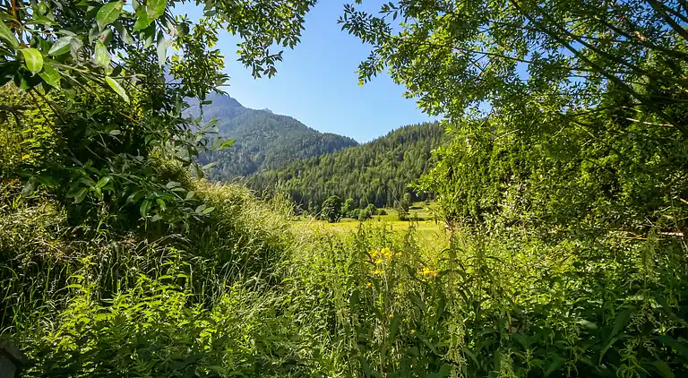 Feriebolig i Waidring