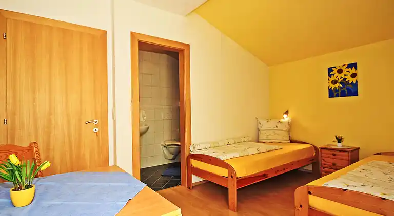 Feriebolig i Pettneu am Arlberg