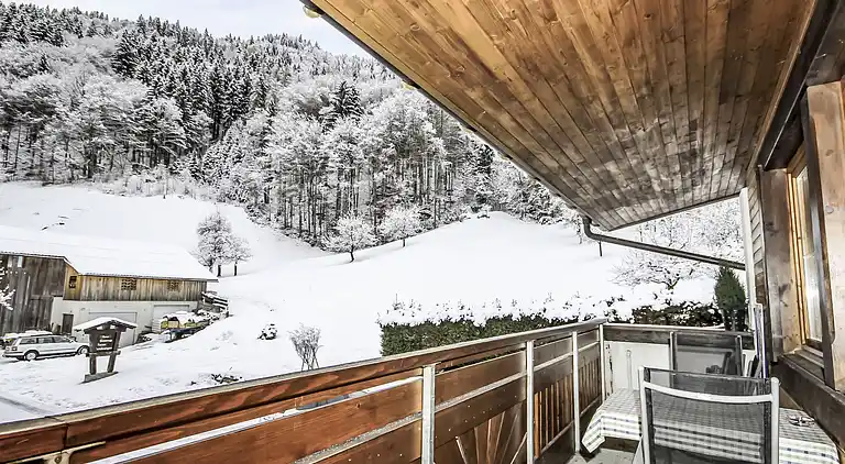 Feriebolig i Vandans