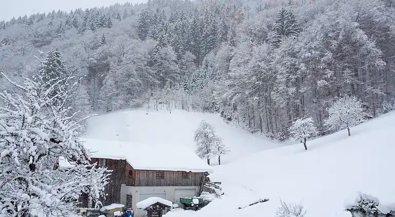 Feriebolig i Vandans