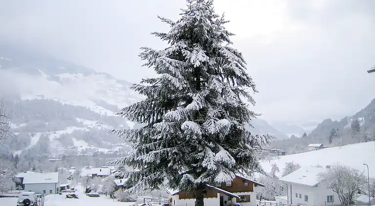 Feriebolig i Vandans