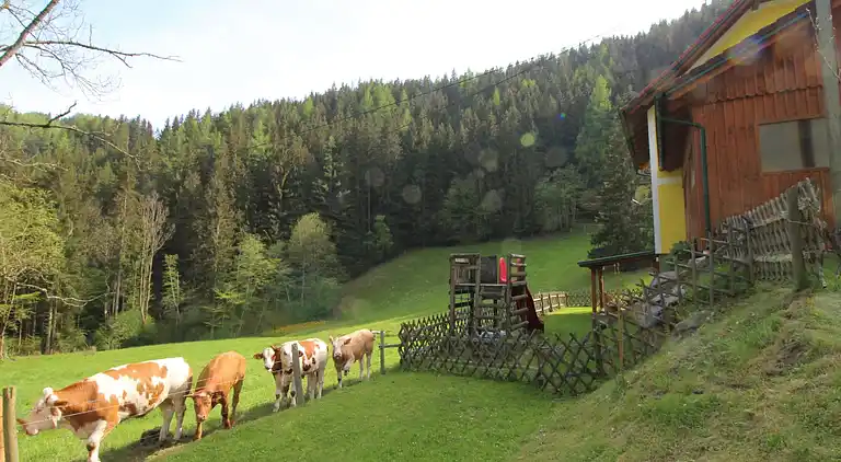 Holiday home in Gabraun