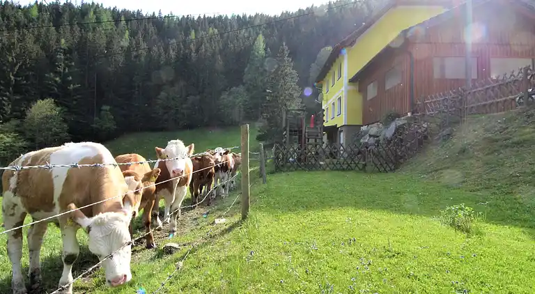 Holiday home in Gabraun