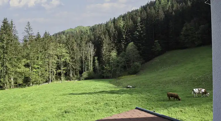 Holiday home in Gabraun