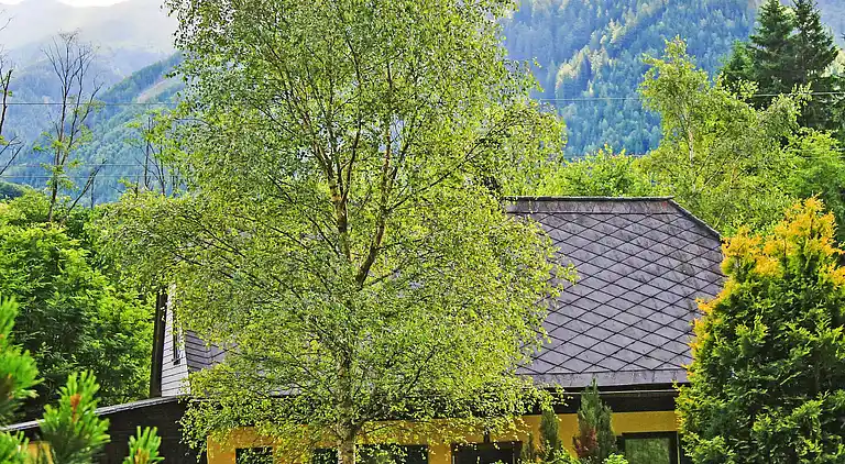 Holiday home in Sankt Johann am Tauern Sonnseite