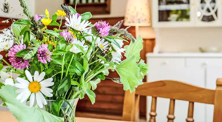 Holiday home in Sankt Johann am Tauern Sonnseite